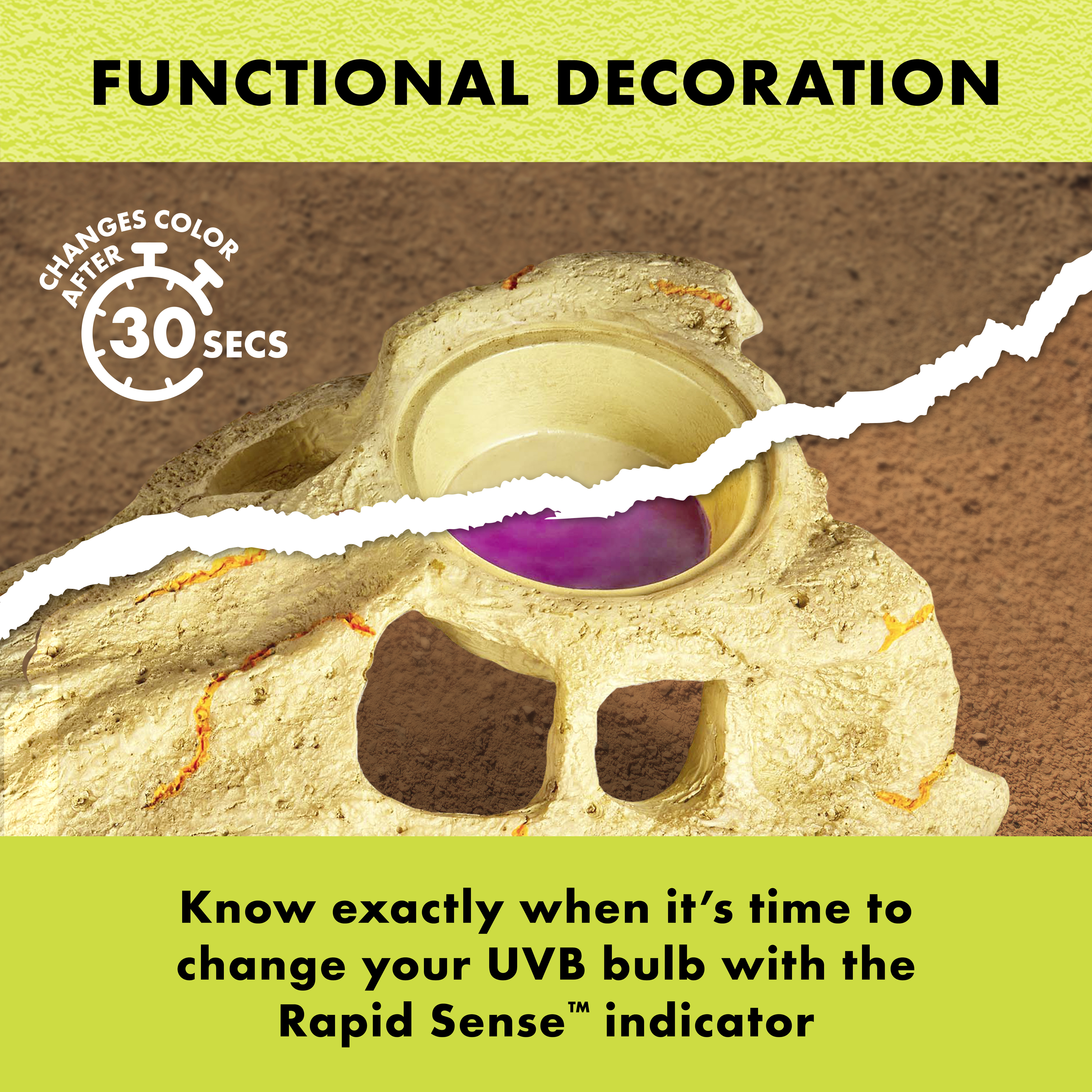 100549770_ZIL_RAPID_SENSE_SKULL_LG_Ben1