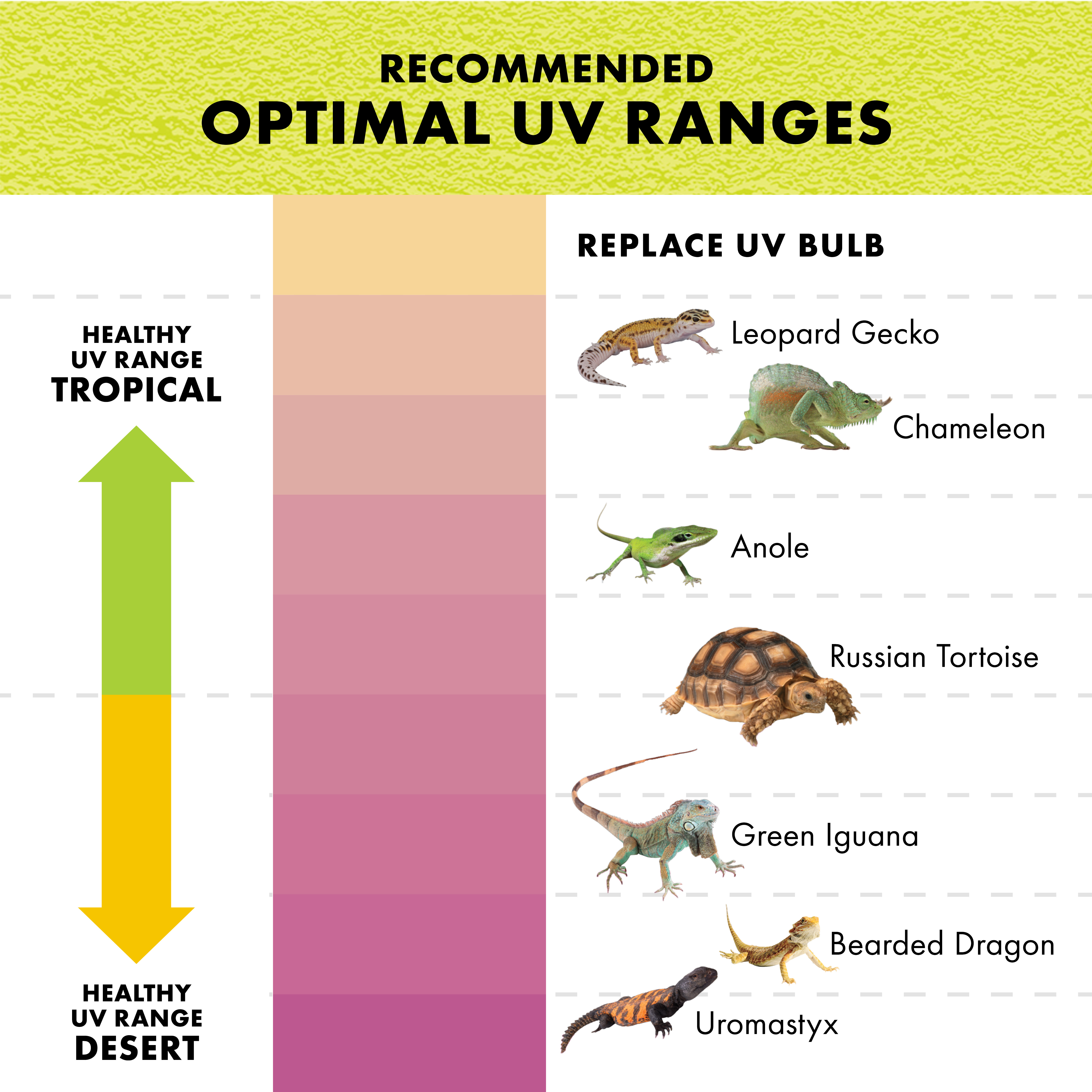 100549770_ZIL_RAPID_SENSE_SKULL_LG_Ben2