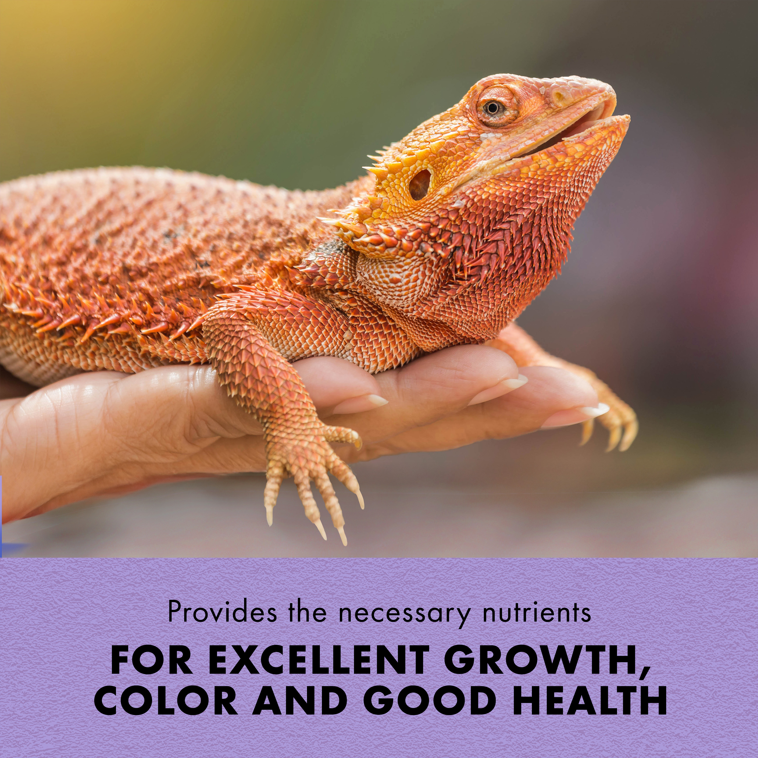 750398525-100111675_infographic02