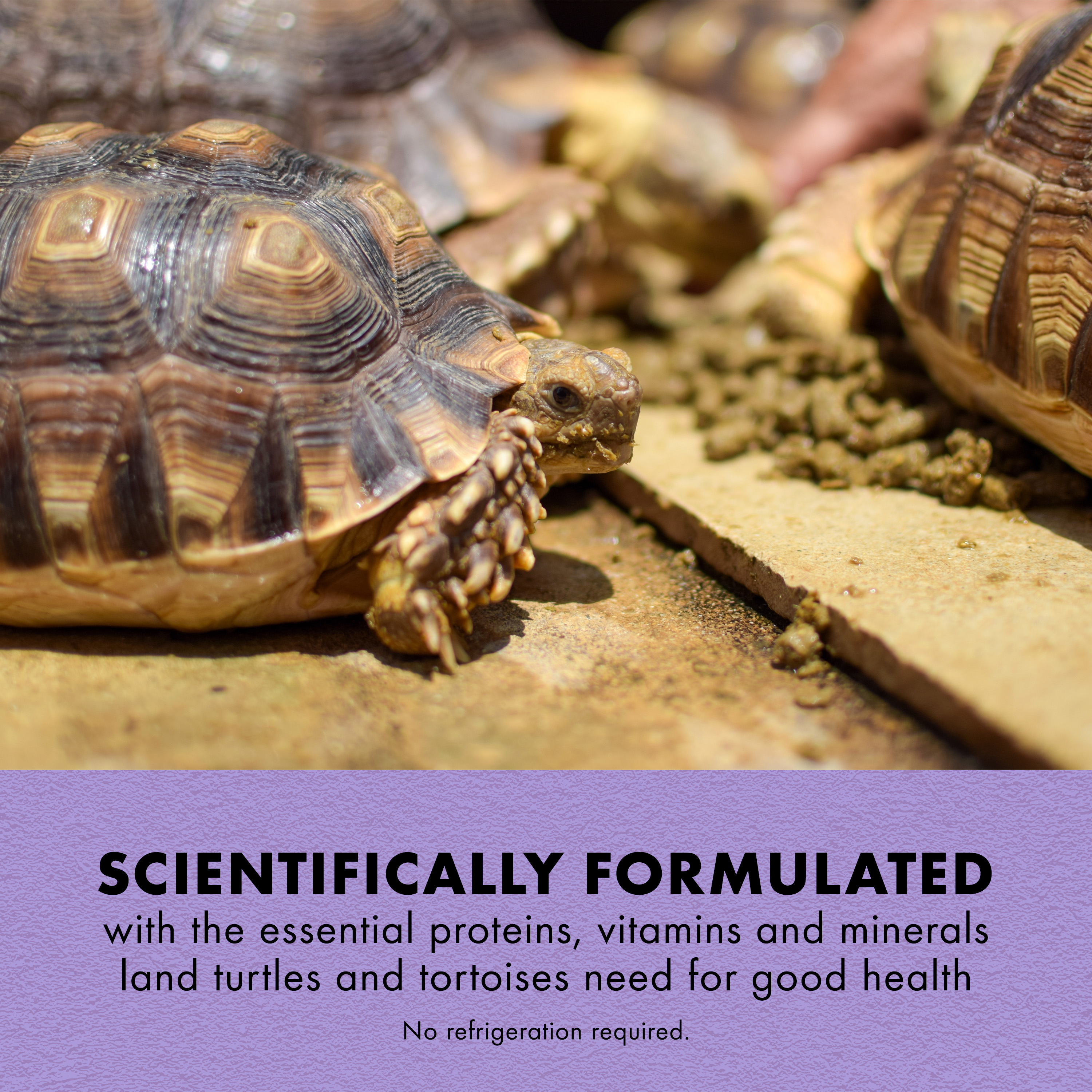 750396826-100111681_infographic01