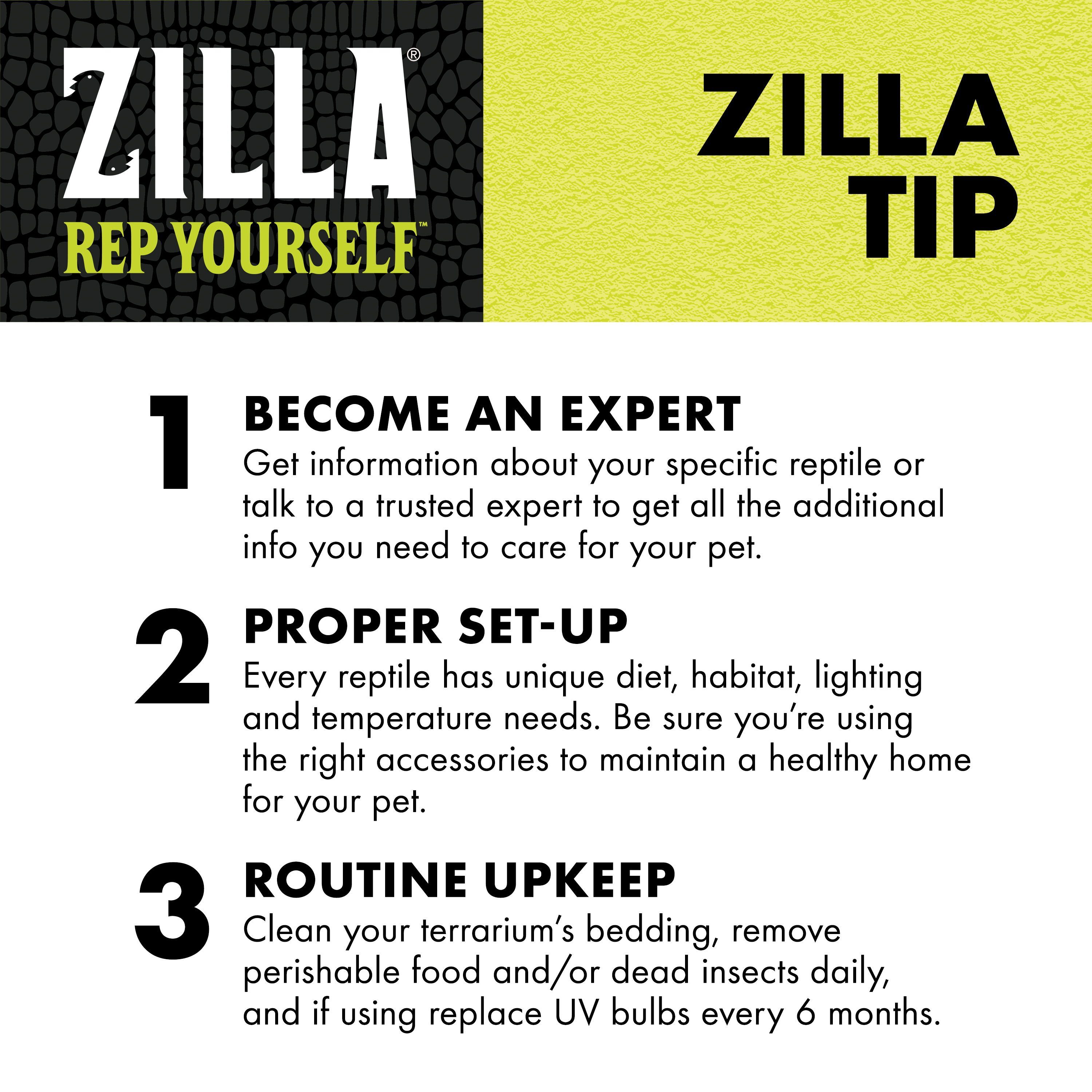 716562107-zilla_infographic10_educationliner