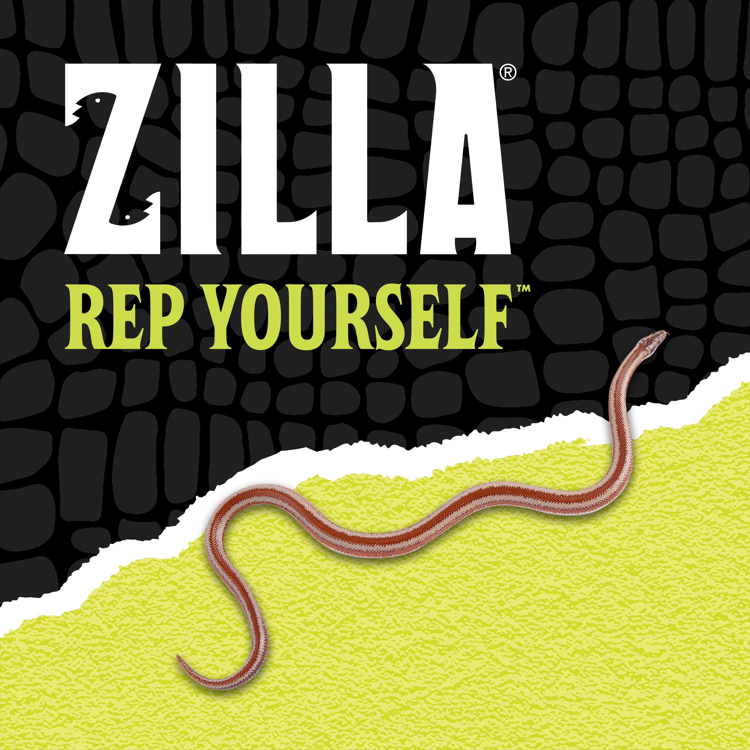 716562119-zilla_lifestyle20_brandingbb